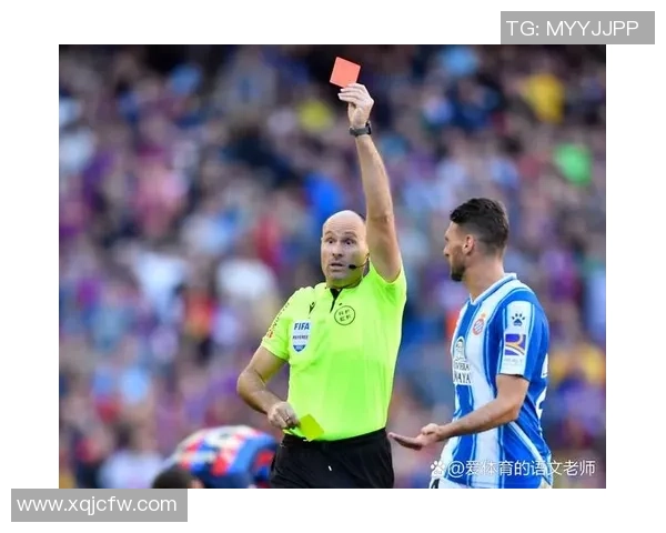 深圳排球队以82分领跑欧锦赛积分榜展现强大实力